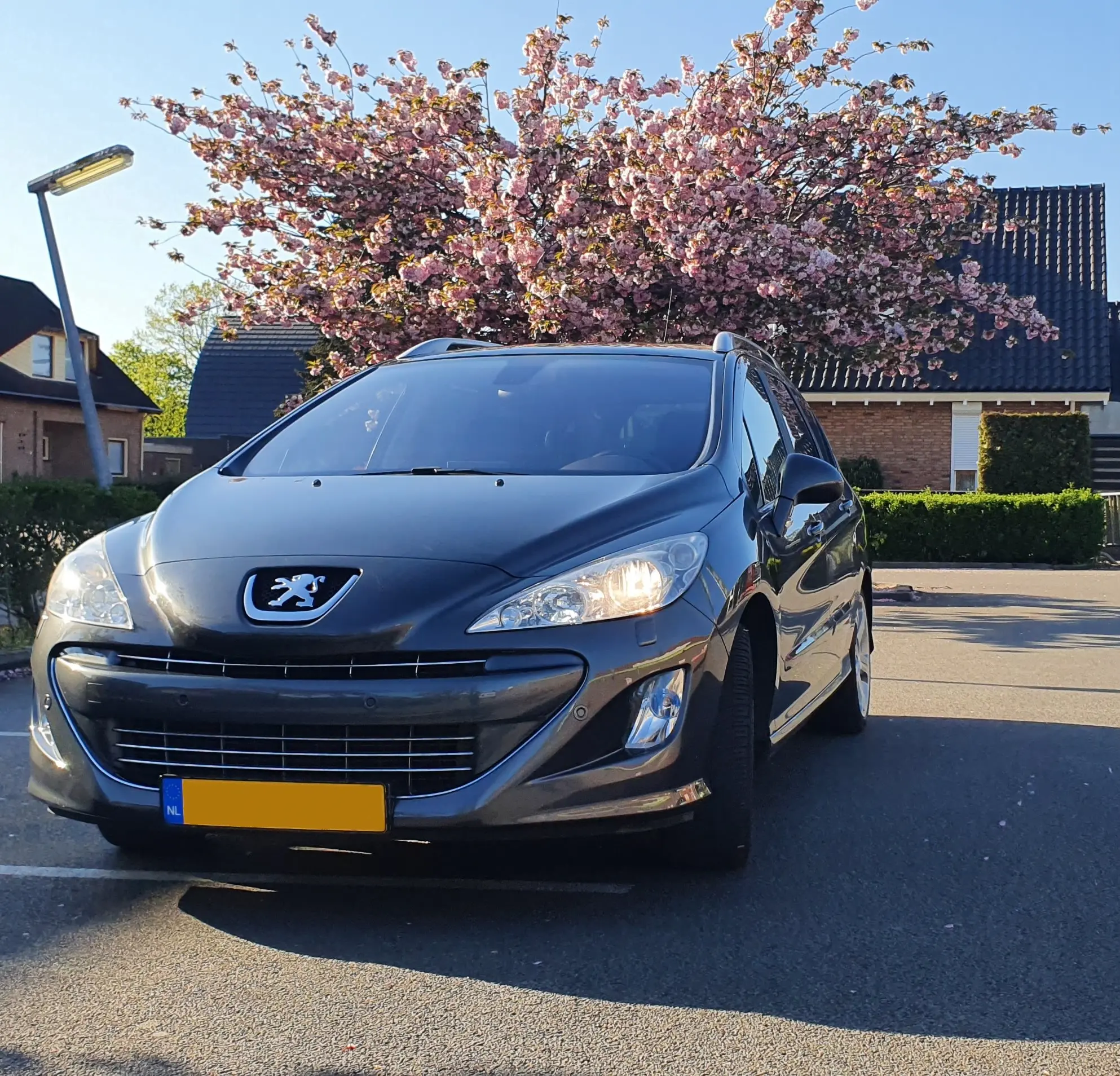 Over Liquid Detailer – specialist in hoogwaardige producten voor auto detailing en verzorging